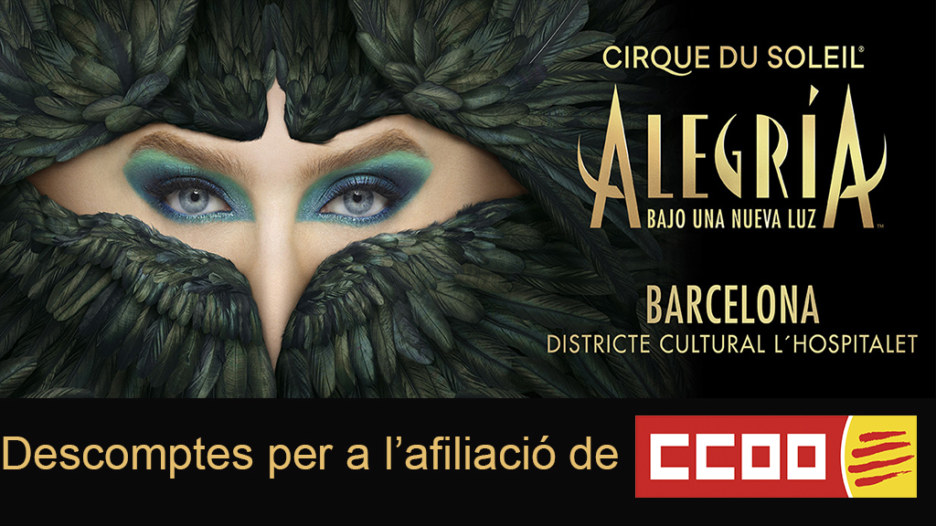 Nous canals de Telegram i WhatsApp