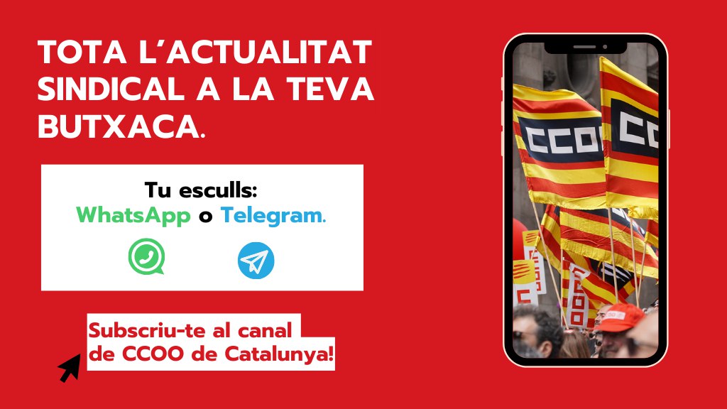 Nous canals de Telegram i WhatsApp