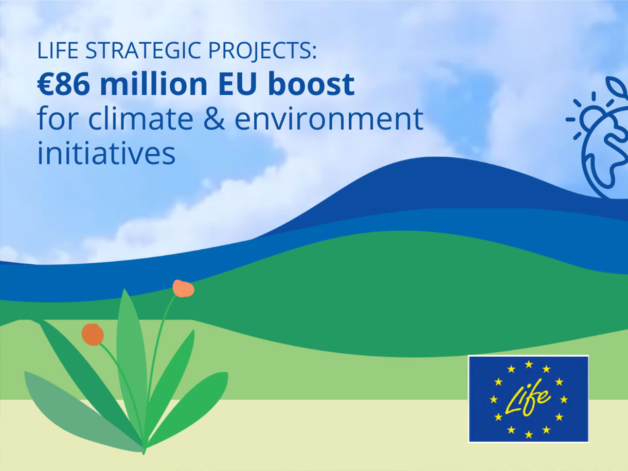 A healthy bowl of food.