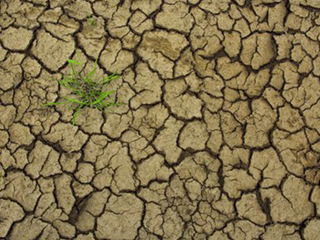 A healthy bowl of food.