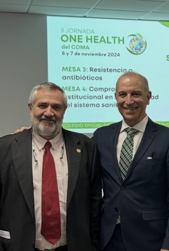 Holi festival celebration in Mathura India, festival of colors