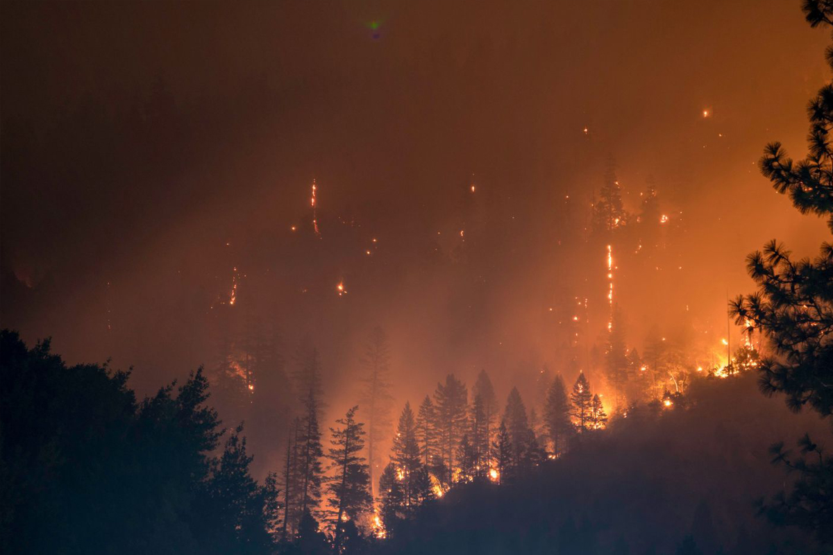 A healthy bowl of food.