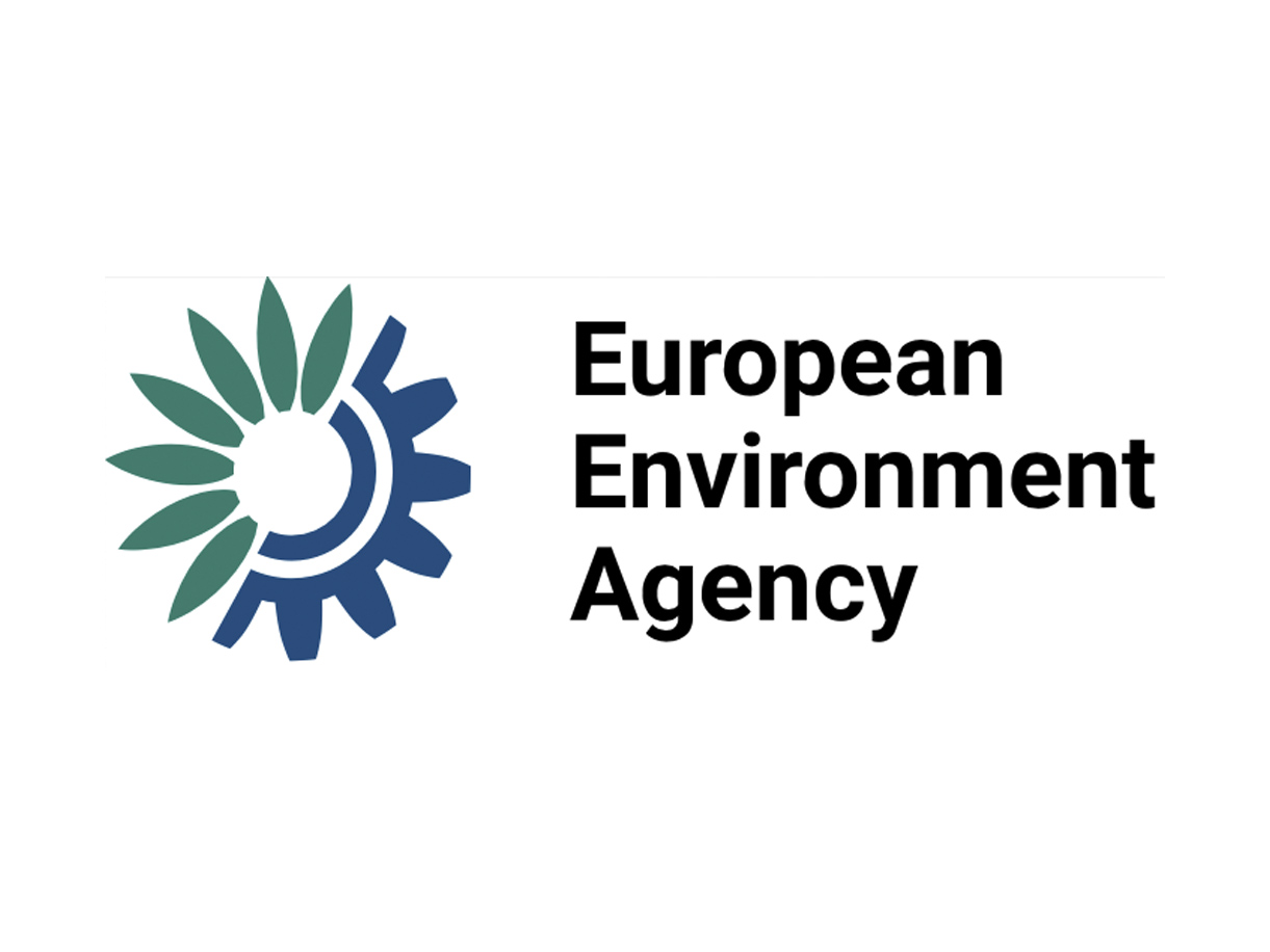 A healthy bowl of food.