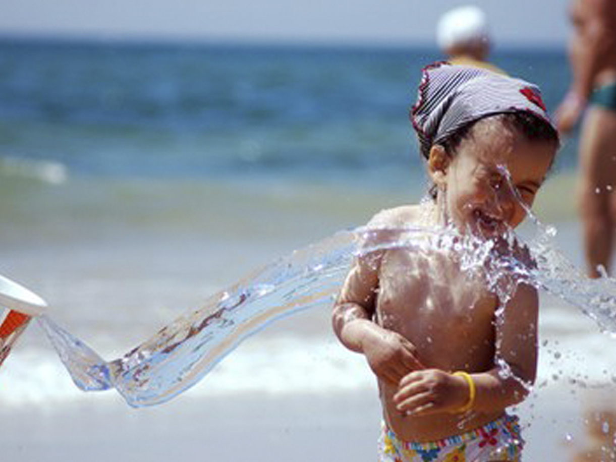 A healthy bowl of food.
