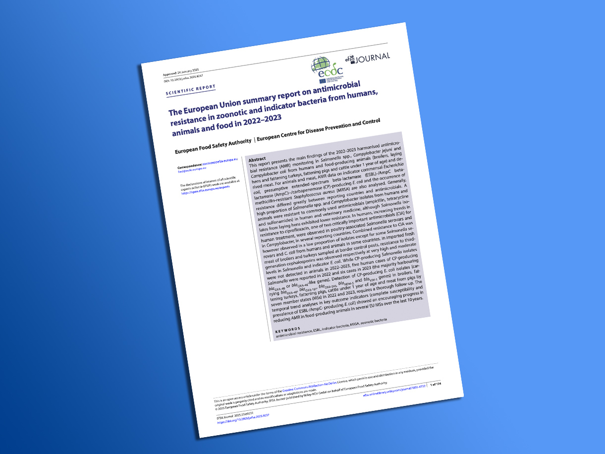 A healthy bowl of food.