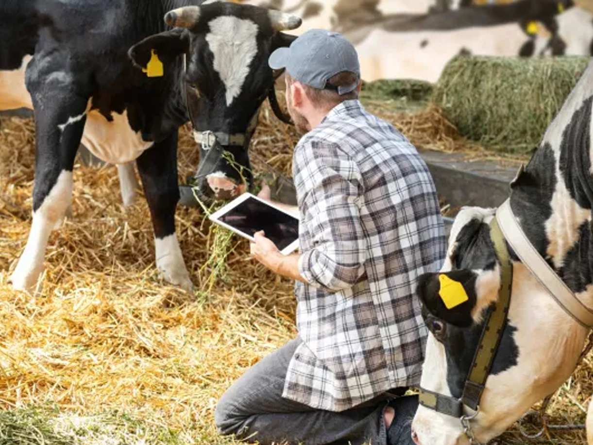 A healthy bowl of food.
