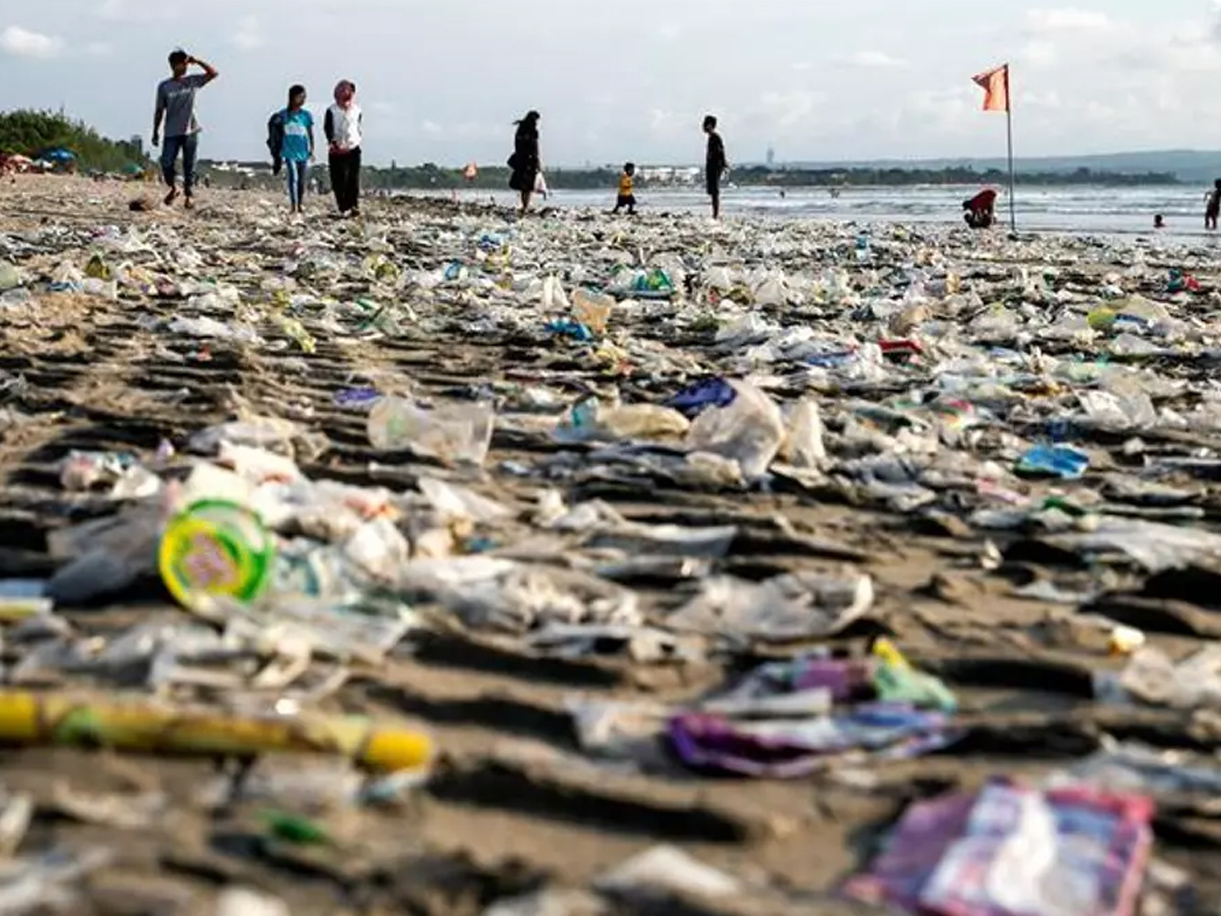A healthy bowl of food.