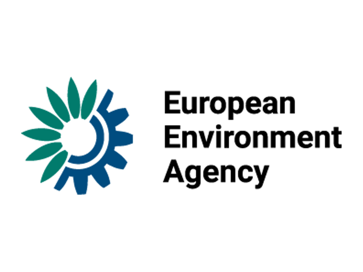 A healthy bowl of food.