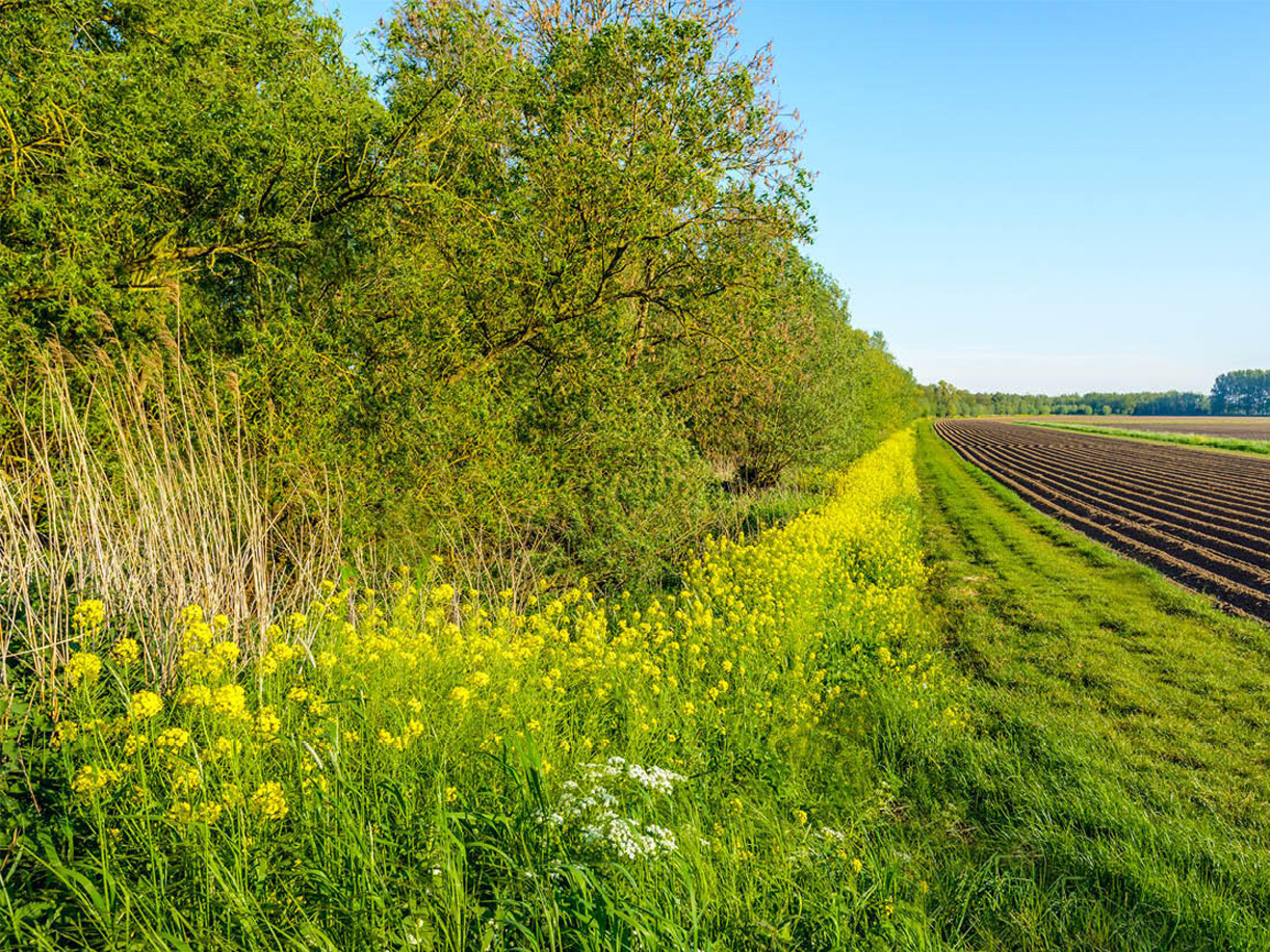 A healthy bowl of food.