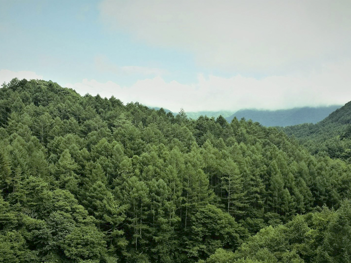 A healthy bowl of food.