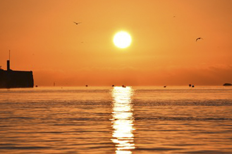 A healthy bowl of food.