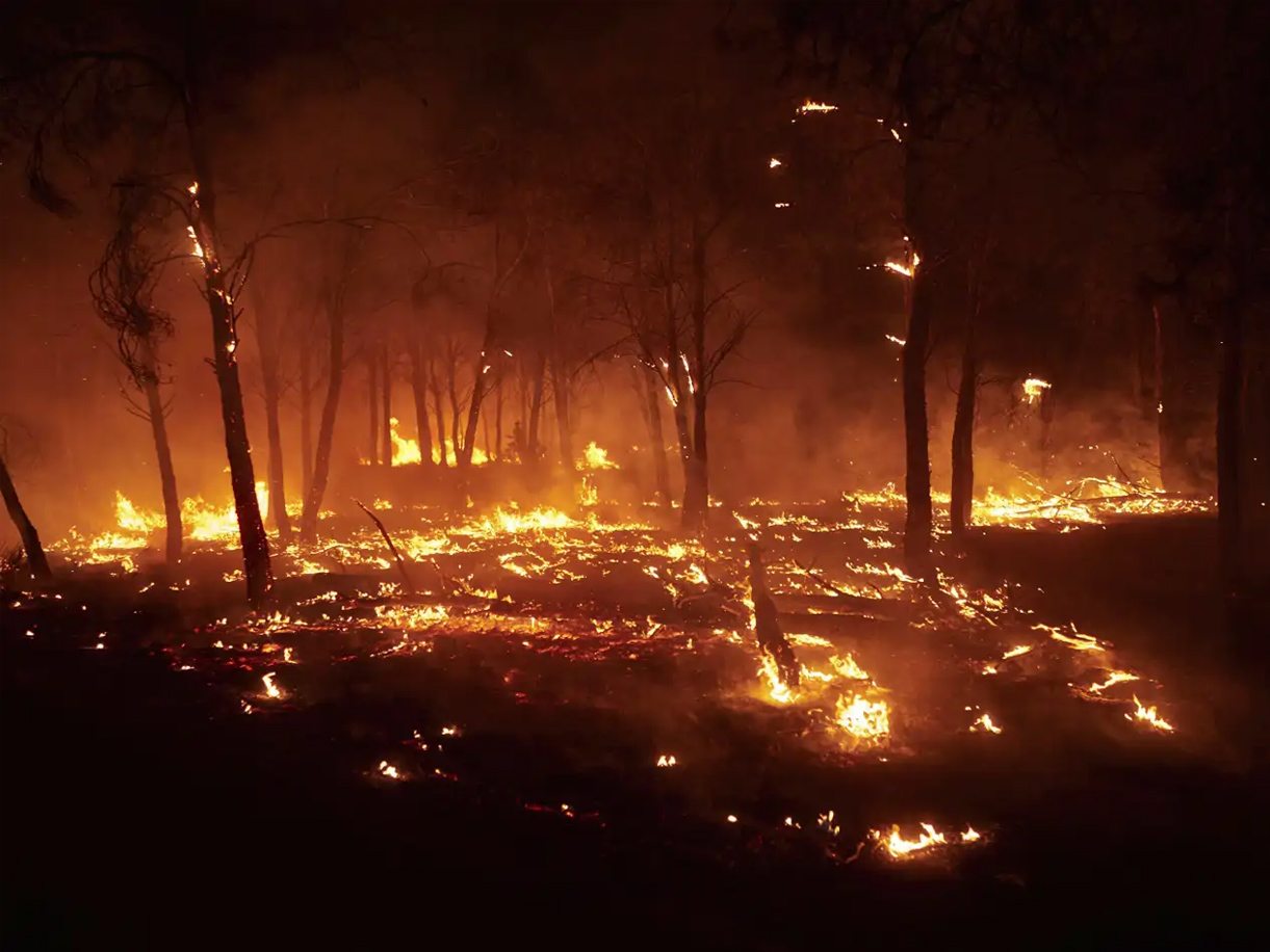 A healthy bowl of food.