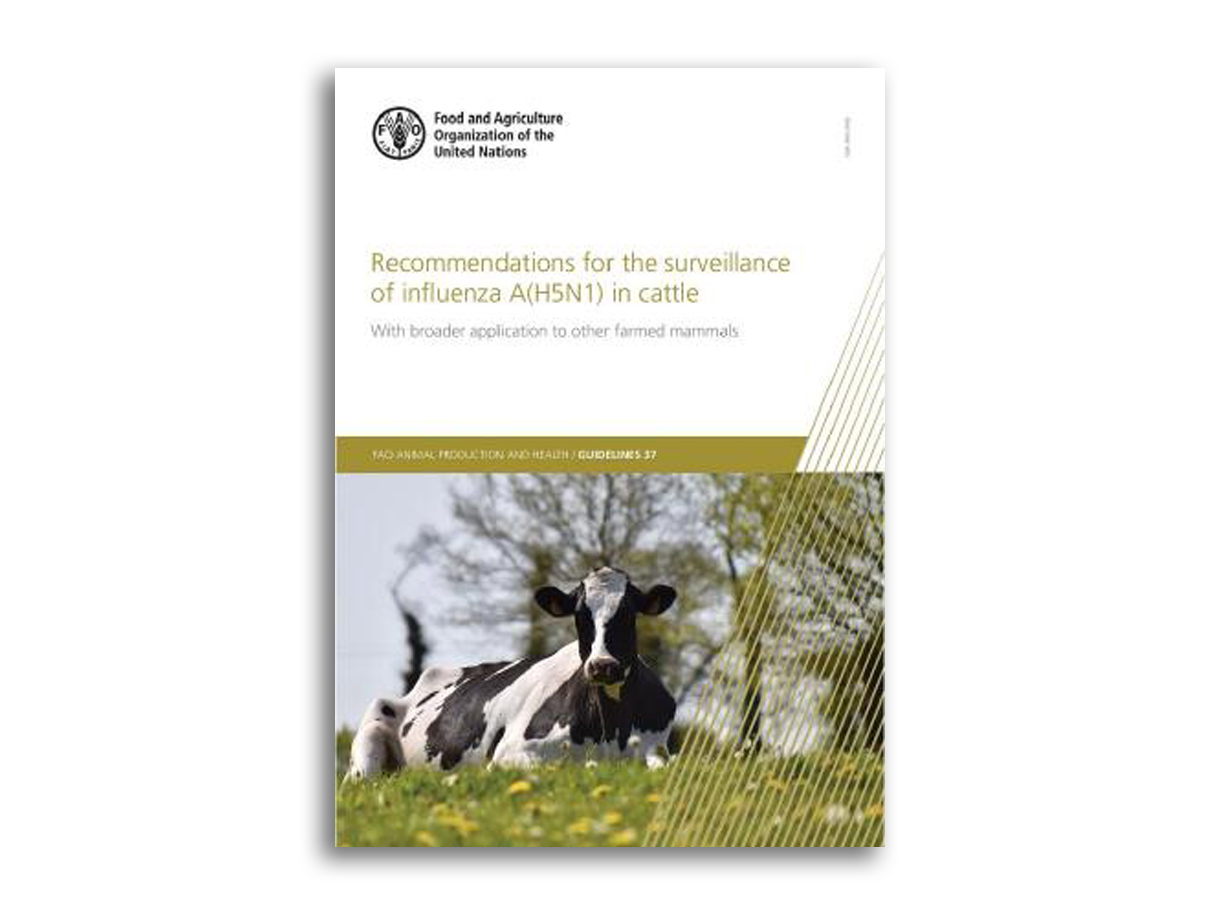 A healthy bowl of food.