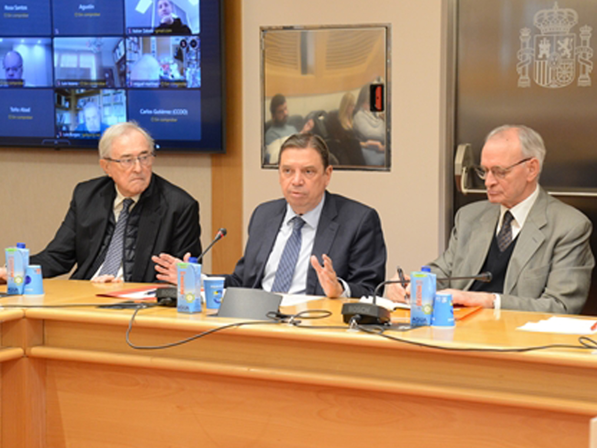 A healthy bowl of food.