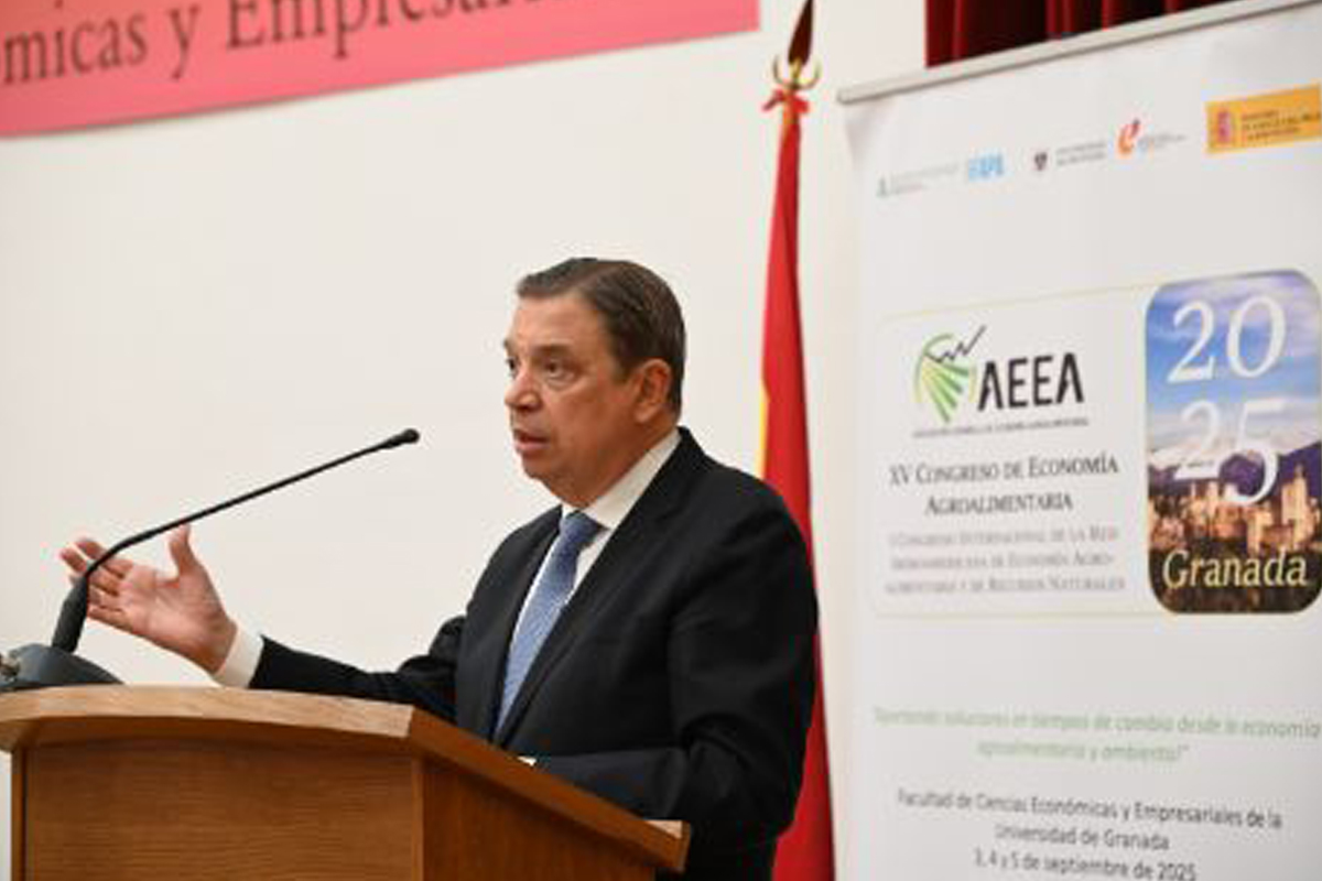 A healthy bowl of food.