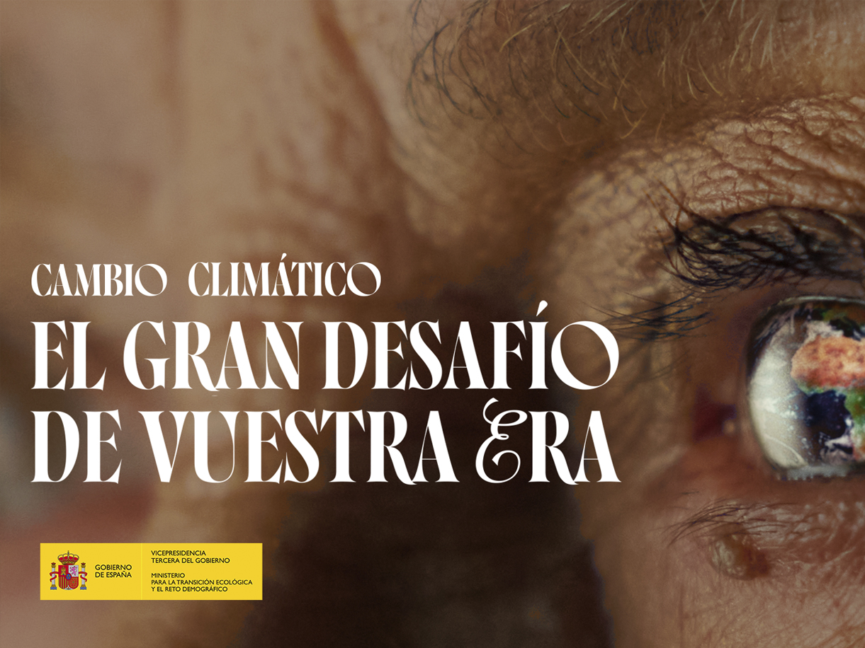 A healthy bowl of food.