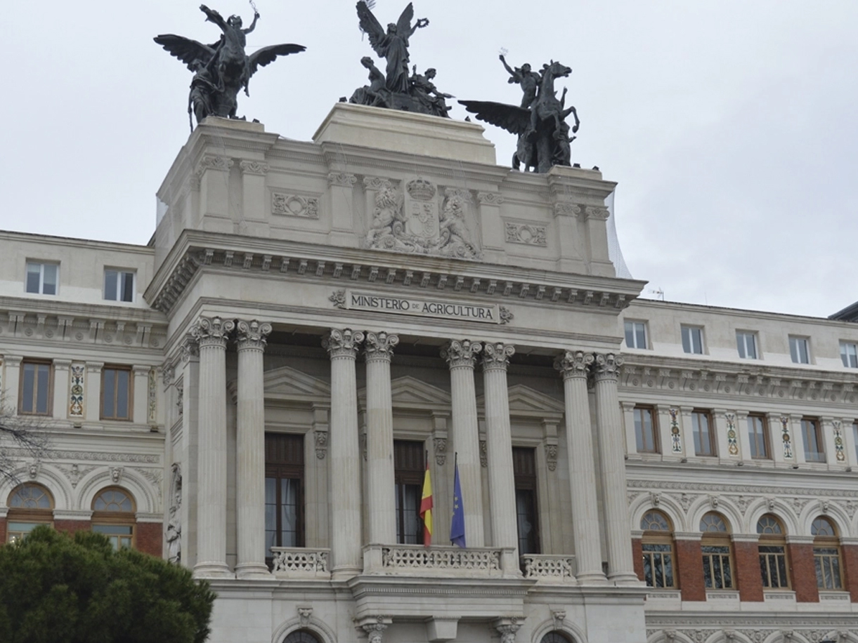A healthy bowl of food.