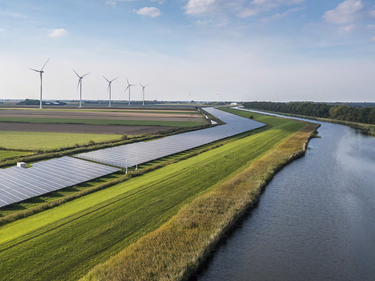 A healthy bowl of food.