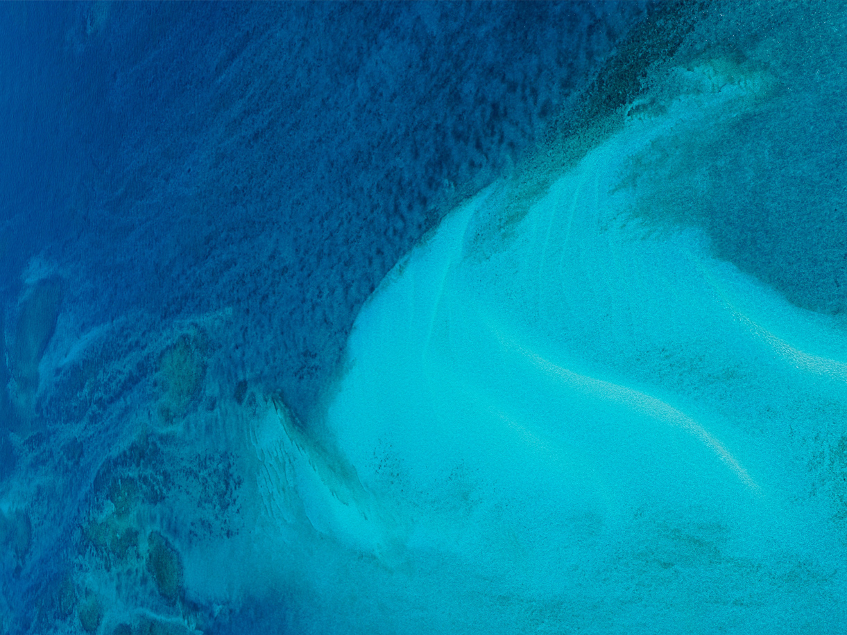 A healthy bowl of food.