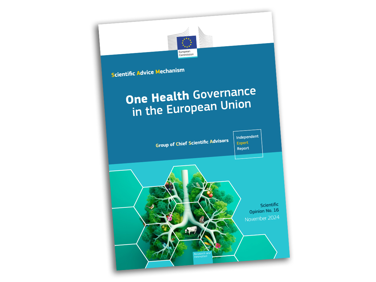 A healthy bowl of food.