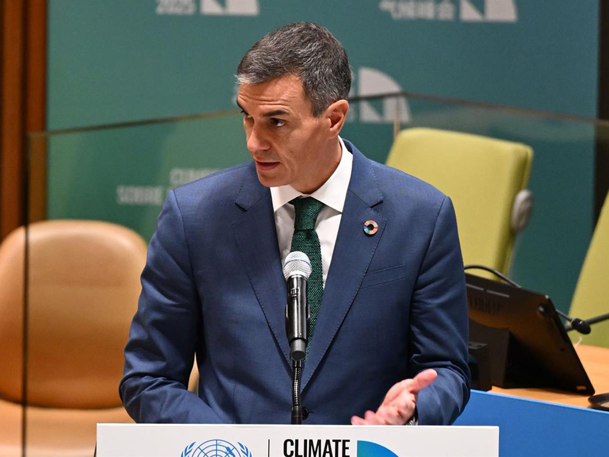 A healthy bowl of food.