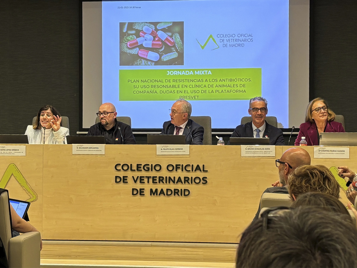 A healthy bowl of food.