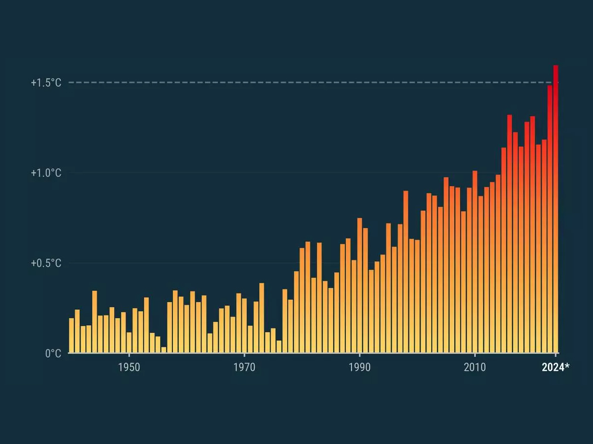 A healthy bowl of food.