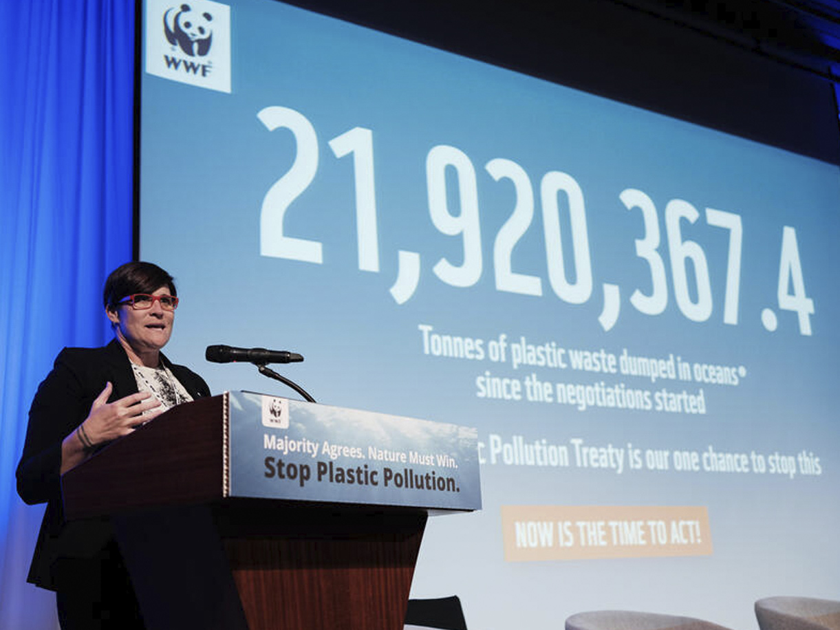 A healthy bowl of food.