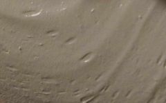 mud mask