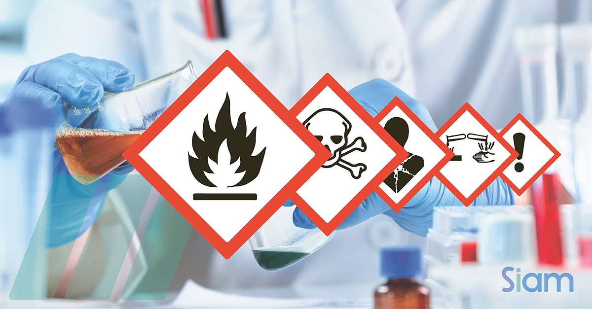 Publicada-la-11-edicion-revisada-del-SGA