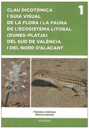 Texto alternativo