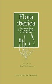 Texto alternativo