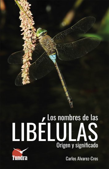 Texto alternativo