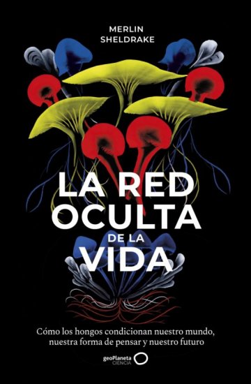Texto alternativo