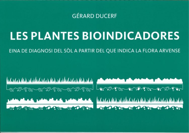 Texto alternativo