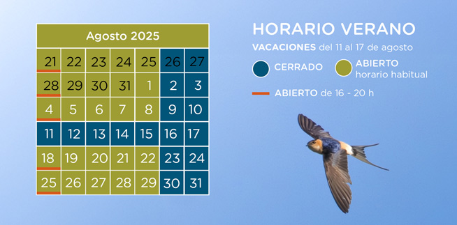 HORARIO DE VERANO