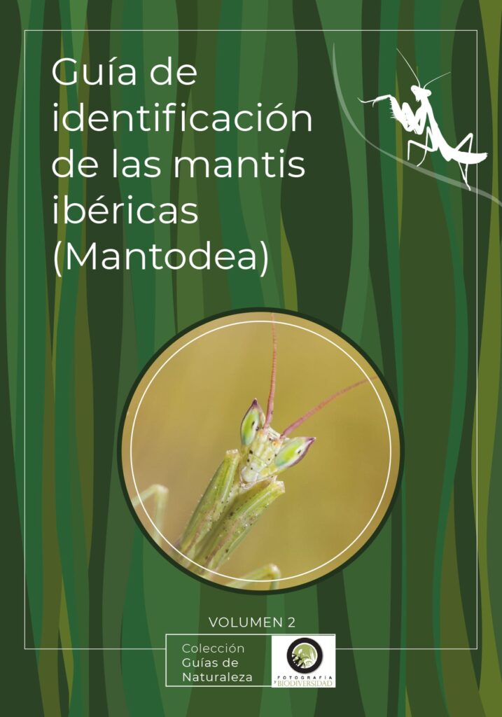 Texto alternativo