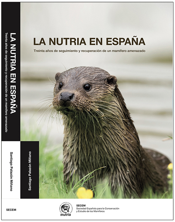 Texto alternativo