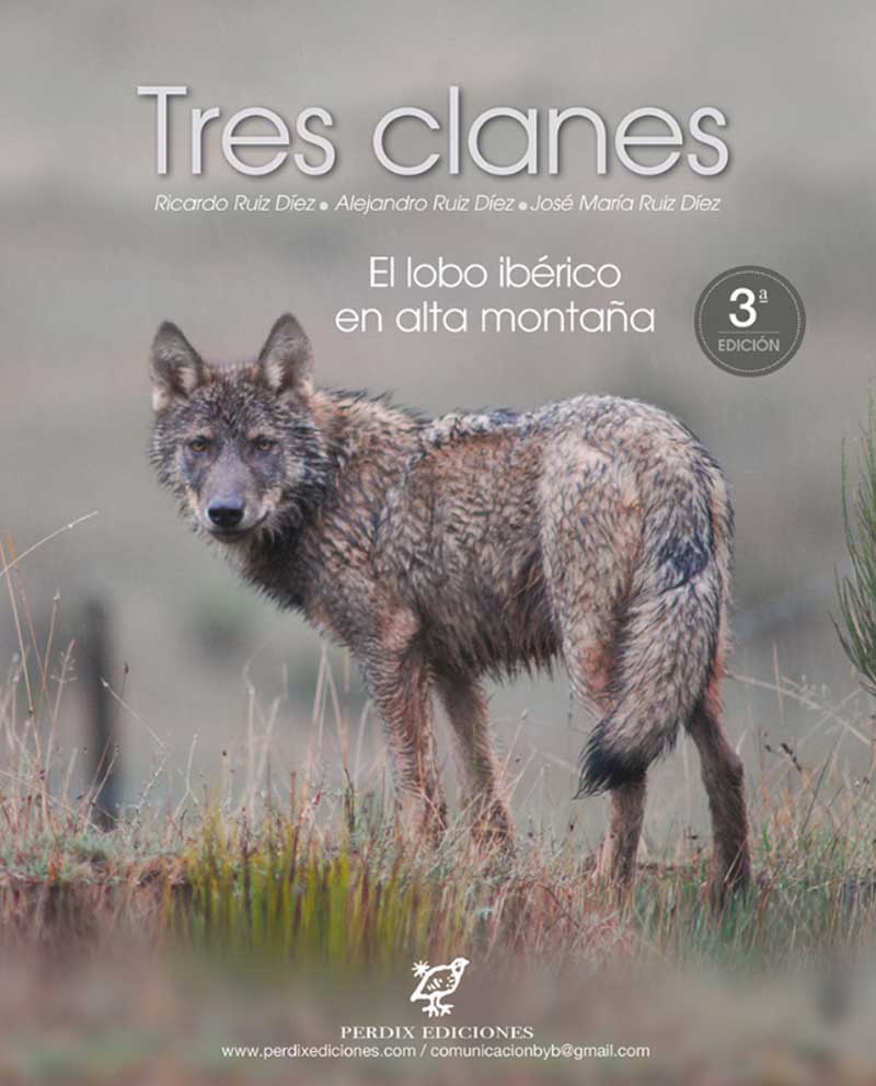 Texto alternativo
