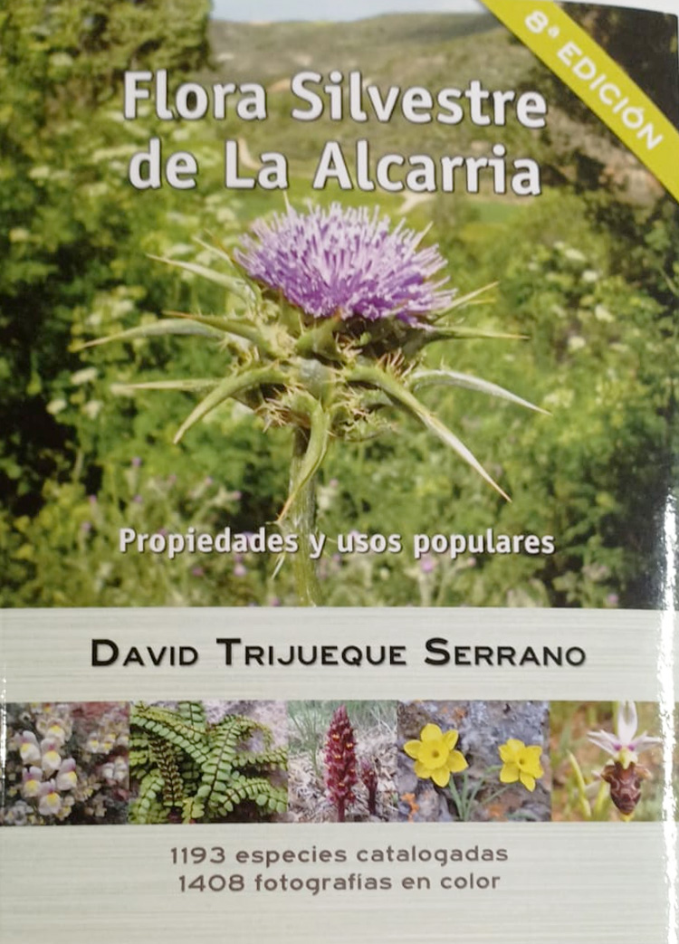 Texto alternativo