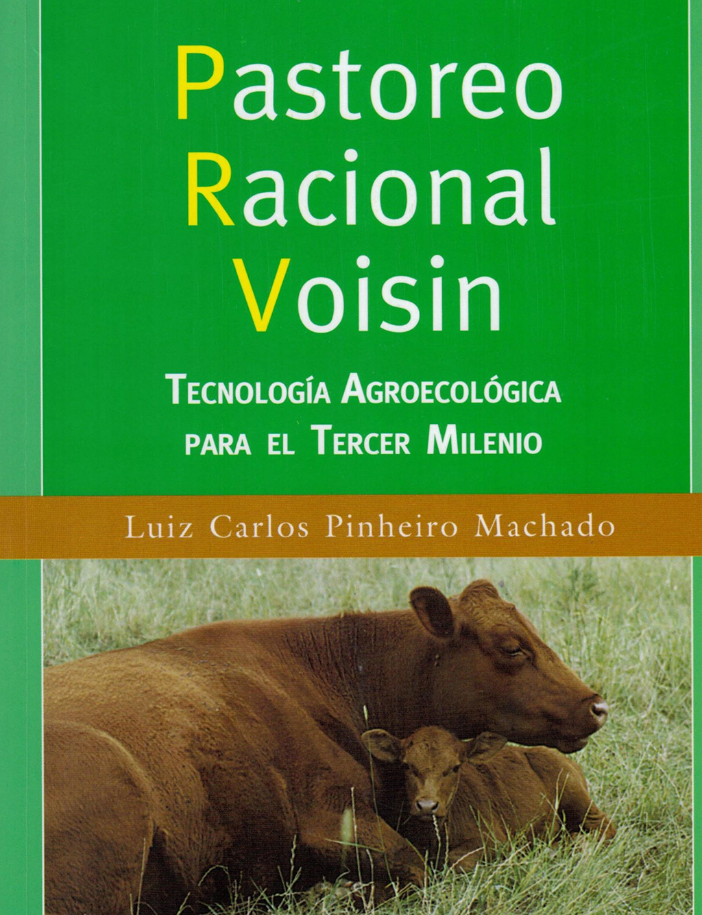 Texto alternativo