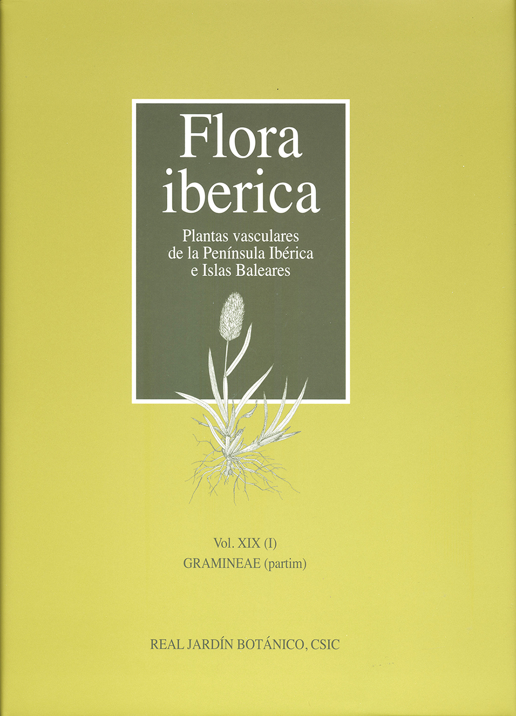 Texto alternativo