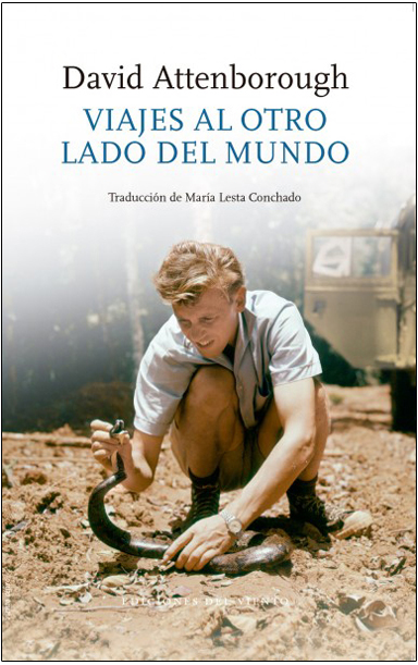 Texto alternativo