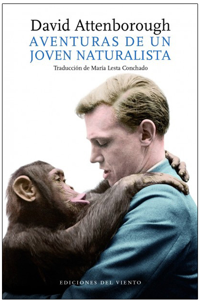 Texto alternativo