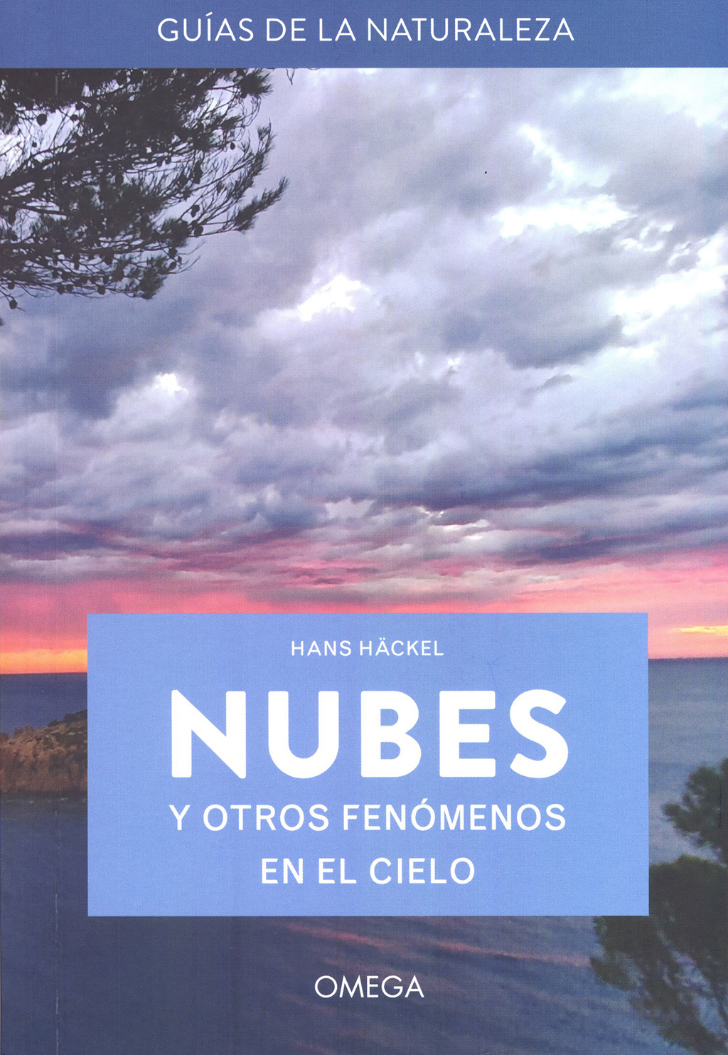 Texto alternativo