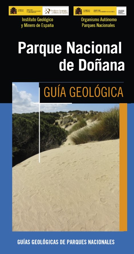 Texto alternativo