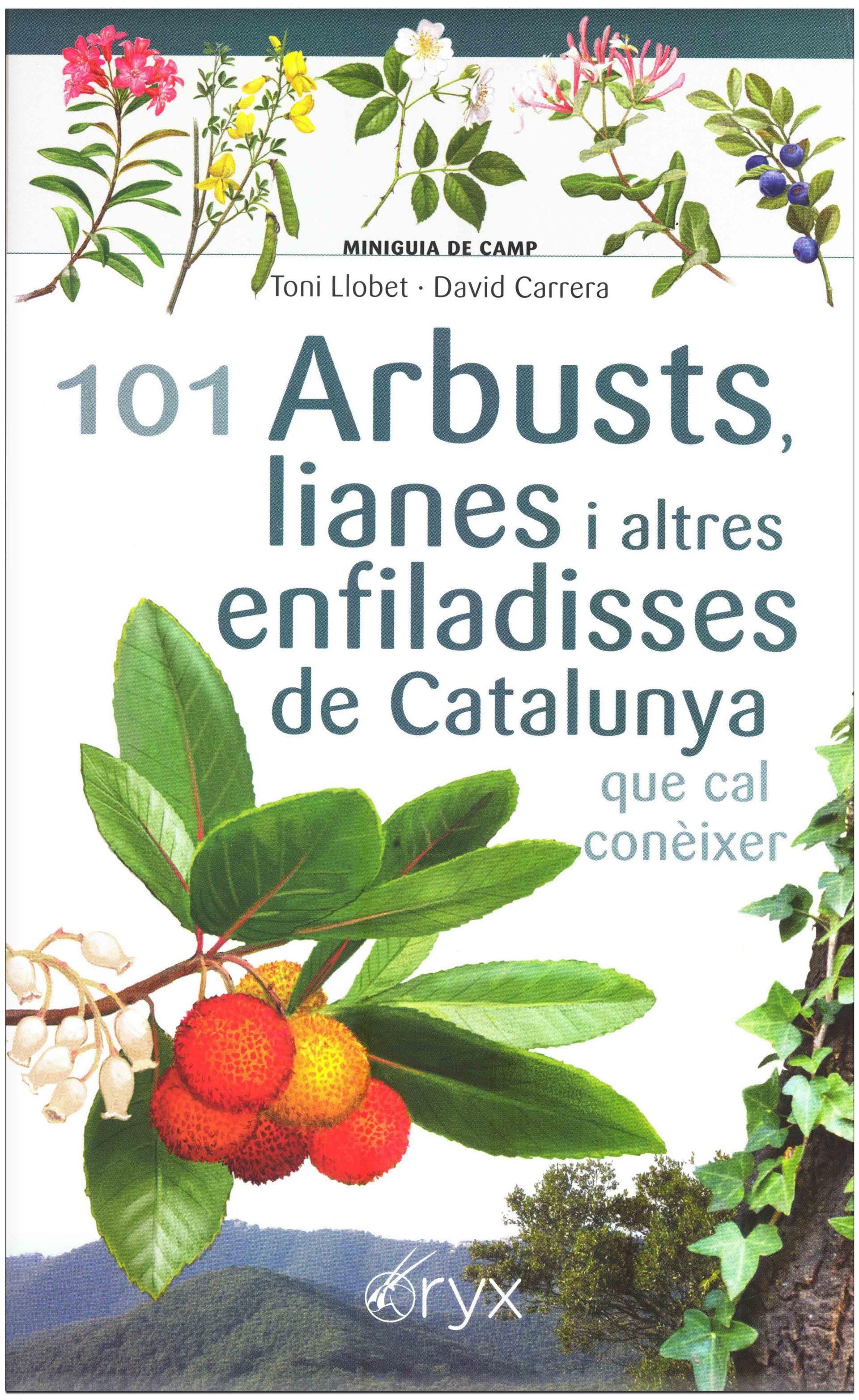 Texto alternativo