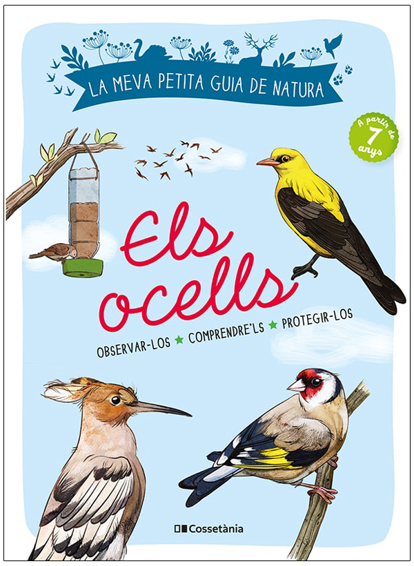 Texto alternativo