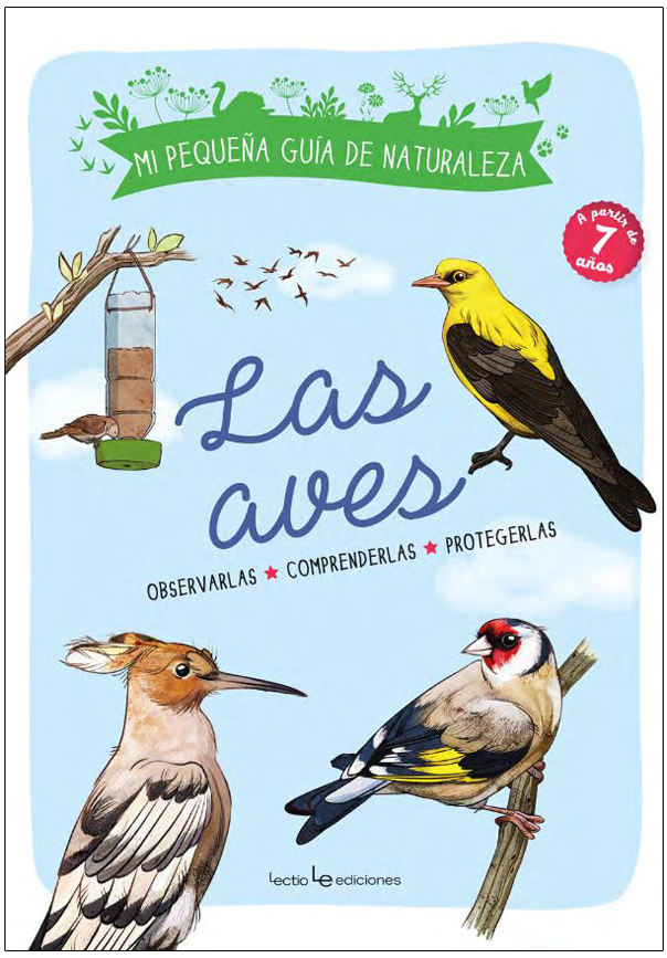 Texto alternativo