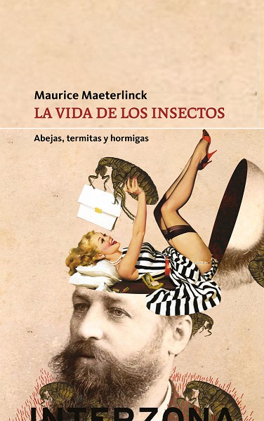 Texto alternativo